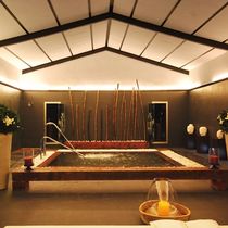 Spa de natación - Todos los fabricantes de la arquitectura y del design