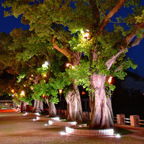 Luminaria empotrable de suelo / LED / cuadrada...