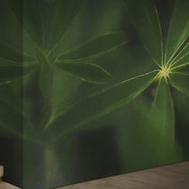 Revestimiento de pared para interior / de...