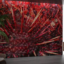Revestimiento de pared para interior / de...