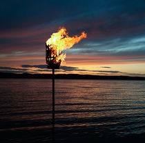 Antorcha de jardín - Todos los fabricantes de la arquitectura y del