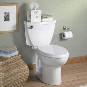WC de pie - ACCESSPRO - AMERICAN STANDARDS - de porcelana / con mango