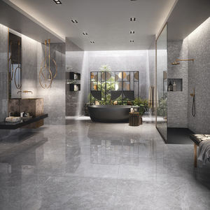 baldosa de interior / de pared / de porcelana / de cerámica esmaltada