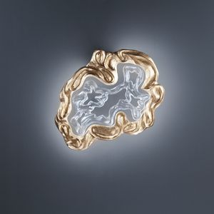 aplique de diseño orgánico