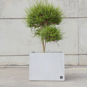 jardinera de hormigón / cuadrada / contemporánea / para espacio público
