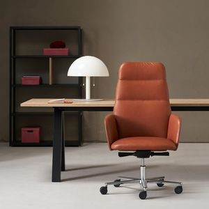 sillón de director contemporáneo