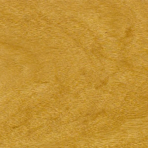 parquet macizo