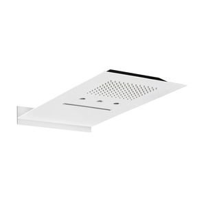 rociador de ducha de pared
