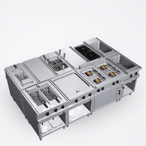 cocina profesional de acero inoxidable