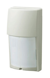 detector de intrusión