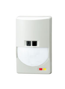 detector de intrusión