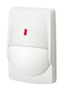 detector de intrusión