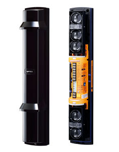 detector de intrusión