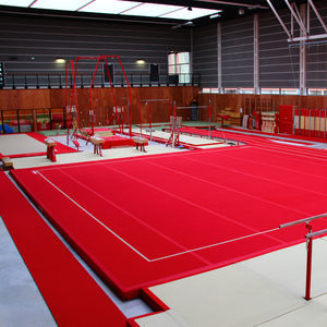 practicable para gimnasia