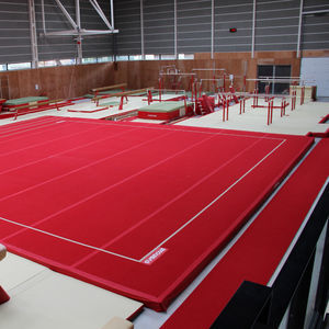 practicable para gimnasia