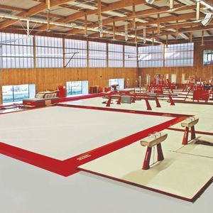 practicable para gimnasia