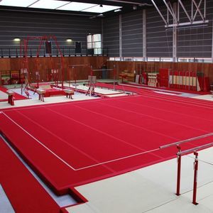 practicable para gimnasia