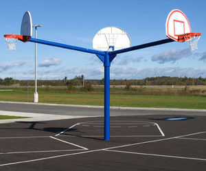 canasta de baloncesto fija