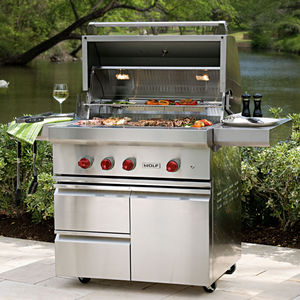 barbacoa de gas