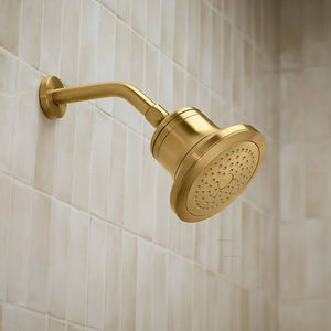 rociador de ducha de pared