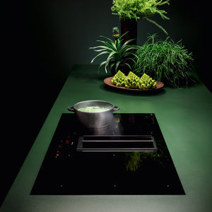 placa de cocina de inducción