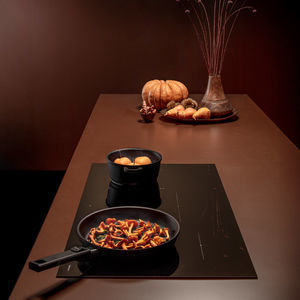 placa de cocina de inducción