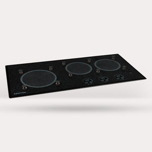 placa de cocina de inducción