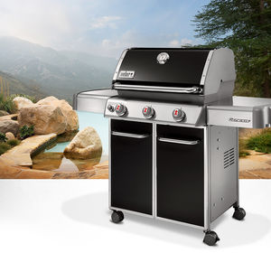 barbacoa de gas