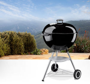 barbacoa de carbón