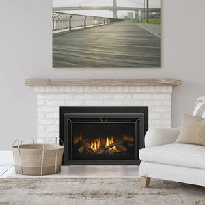 chimenea insertable de gas