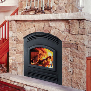 chimenea de leña