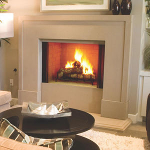 chimenea de leña