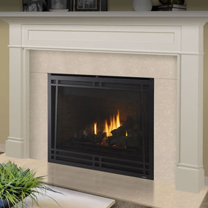 Chimenea de gas - LEGACY TRUEVIEW - heatilator - tradicional / hogar