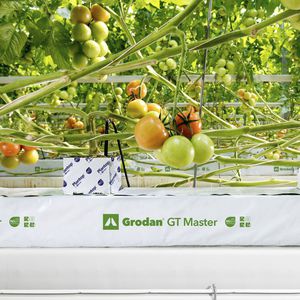 bolsa para cultivo