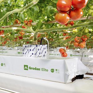 bolsa para cultivo