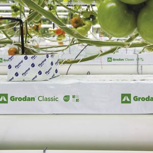 bolsa para cultivo