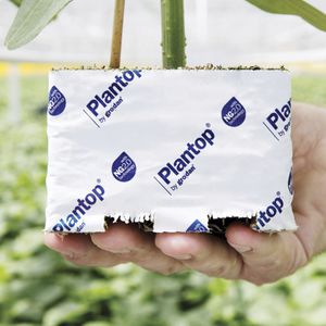 bolsa para cultivo