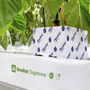 bolsa para cultivo