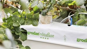 bolsa para cultivo