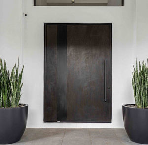 puerta de entrada