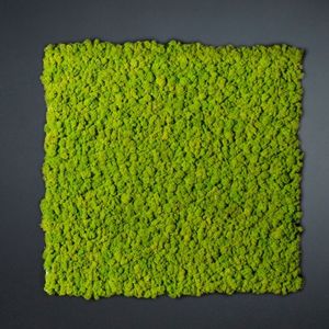 muro vegetal estabilizado