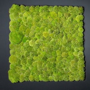 muro vegetal estabilizado