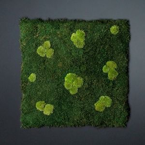 muro vegetal estabilizado