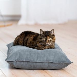 cojín para mascotas (perros y gatos)