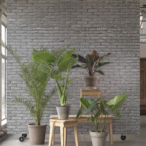 papel pintado contemporáneo