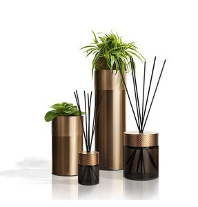 difusor de aromas para el sector profesional