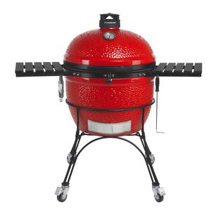 barbacoa de carbón
