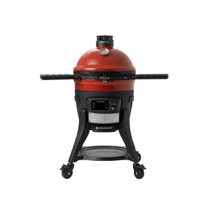 barbacoa de carbón