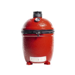 barbacoa de carbón