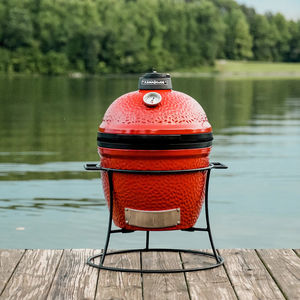 barbacoa de carbón